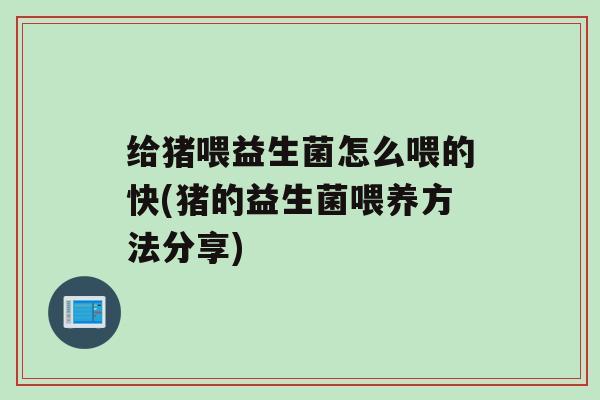 给猪喂益生菌怎么喂的快(猪的益生菌喂养方法分享)