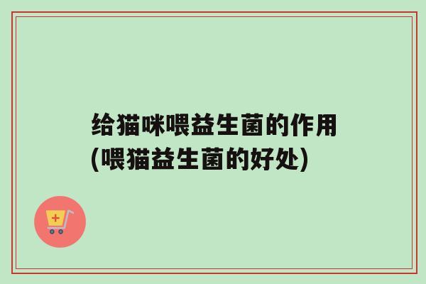 给猫咪喂益生菌的作用(喂猫益生菌的好处)