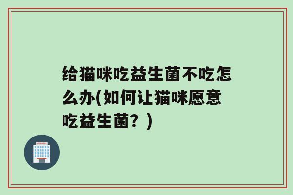 给猫咪吃益生菌不吃怎么办(如何让猫咪愿意吃益生菌？)