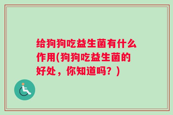给狗狗吃益生菌有什么作用(狗狗吃益生菌的好处，你知道吗？)