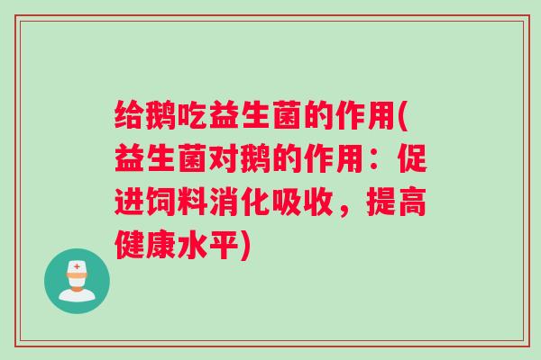 给鹅吃益生菌的作用(益生菌对鹅的作用：促进饲料消化吸收，提高健康水平)
