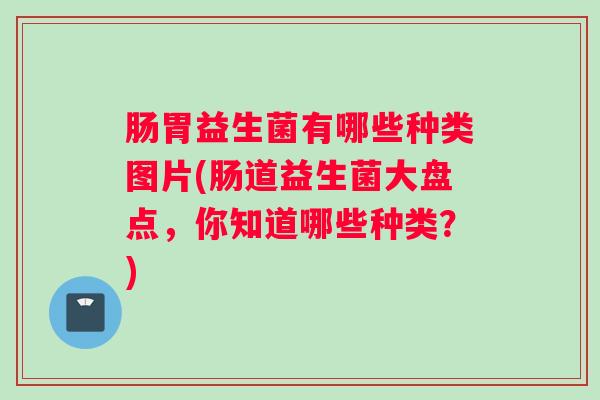 肠胃益生菌有哪些种类图片(肠道益生菌大盘点，你知道哪些种类？)