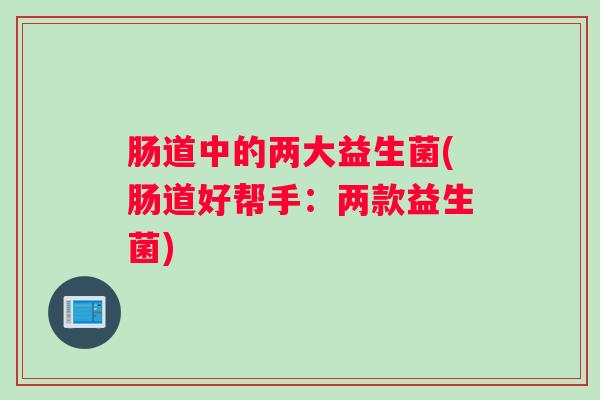 肠道中的两大益生菌(肠道好帮手：两款益生菌)