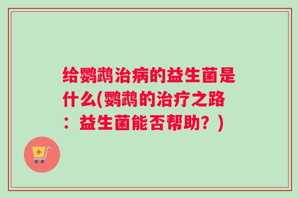 给鹦鹉治病的益生菌是什么(鹦鹉的治疗之路：益生菌能否帮助？)