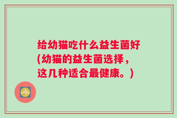 给幼猫吃什么益生菌好(幼猫的益生菌选择，这几种适合最健康。)