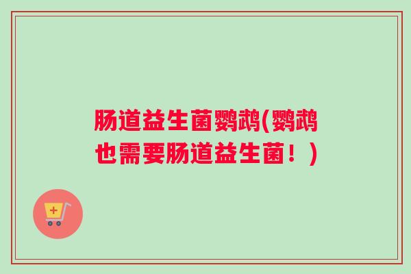肠道益生菌鹦鹉(鹦鹉也需要肠道益生菌！)