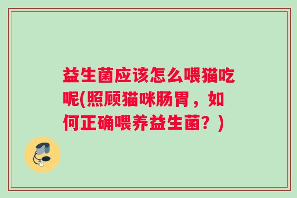 益生菌应该怎么喂猫吃呢(照顾猫咪肠胃，如何正确喂养益生菌？)