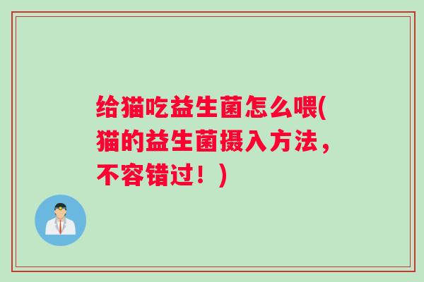 给猫吃益生菌怎么喂(猫的益生菌摄入方法，不容错过！)