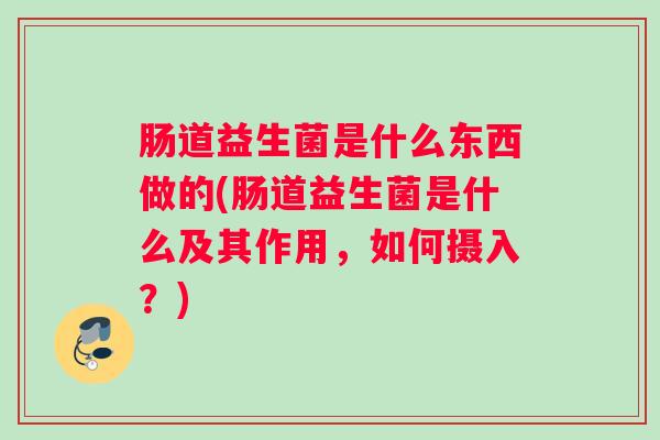 肠道益生菌是什么东西做的(肠道益生菌是什么及其作用，如何摄入？)