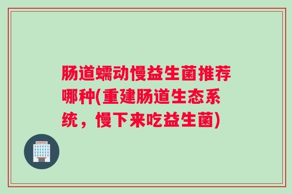 肠道蠕动慢益生菌推荐哪种(重建肠道生态系统，慢下来吃益生菌)