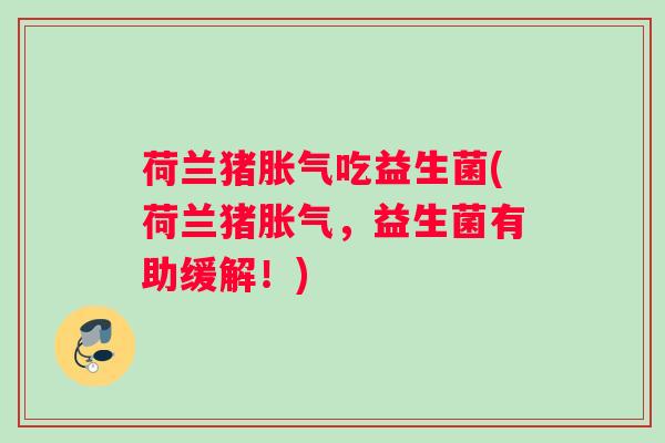 荷兰猪胀气吃益生菌(荷兰猪胀气，益生菌有助缓解！)