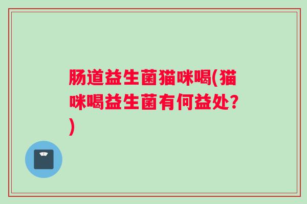 肠道益生菌猫咪喝(猫咪喝益生菌有何益处？)
