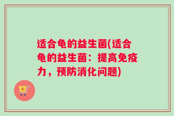 适合龟的益生菌(适合龟的益生菌：提高免疫力，预防消化问题)