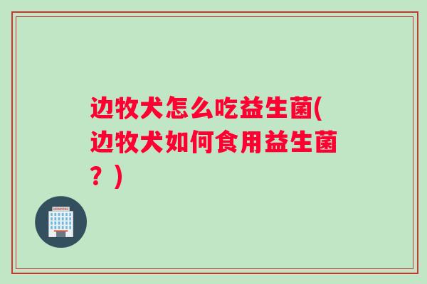 边牧犬怎么吃益生菌(边牧犬如何食用益生菌？)