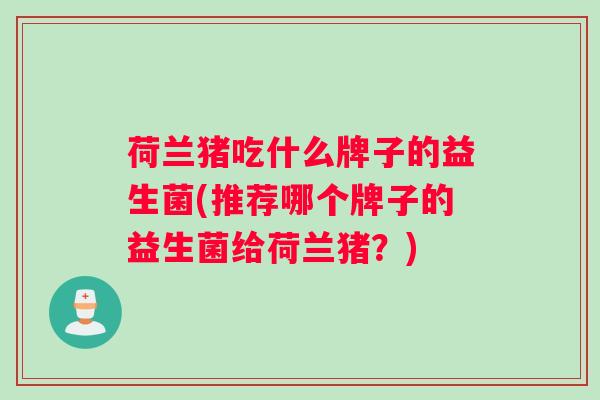 荷兰猪吃什么牌子的益生菌(推荐哪个牌子的益生菌给荷兰猪？)