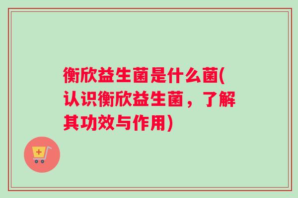 衡欣益生菌是什么菌(认识衡欣益生菌，了解其功效与作用)