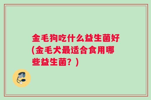 金毛狗吃什么益生菌好(金毛犬最适合食用哪些益生菌？)