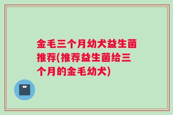 金毛三个月幼犬益生菌推荐(推荐益生菌给三个月的金毛幼犬)
