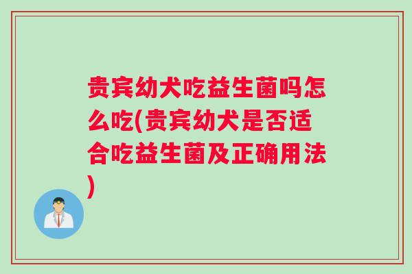 贵宾幼犬吃益生菌吗怎么吃(贵宾幼犬是否适合吃益生菌及正确用法)
