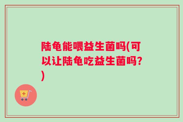 陆龟能喂益生菌吗(可以让陆龟吃益生菌吗？)