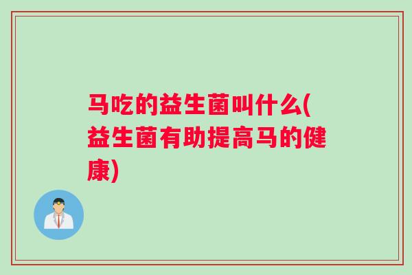 马吃的益生菌叫什么(益生菌有助提高马的健康)