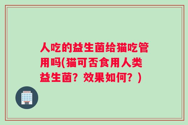 人吃的益生菌给猫吃管用吗(猫可否食用人类益生菌？效果如何？)