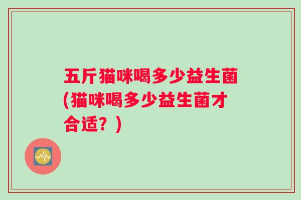 五斤猫咪喝多少益生菌(猫咪喝多少益生菌才合适？)