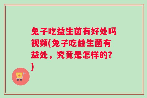 兔子吃益生菌有好处吗视频(兔子吃益生菌有益处，究竟是怎样的？)