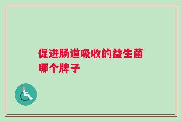 促进肠道吸收的益生菌哪个牌子