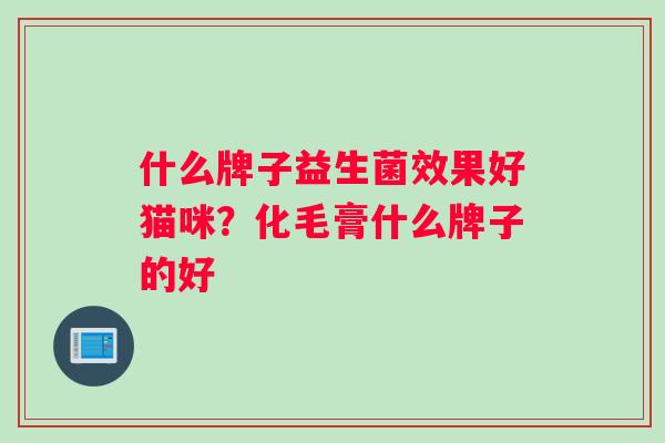 什么牌子益生菌效果好猫咪？化毛膏什么牌子的好