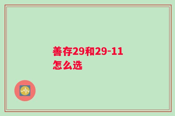 善存29和29-11怎么选