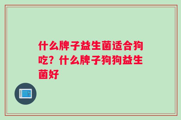 什么牌子益生菌适合狗吃？什么牌子狗狗益生菌好