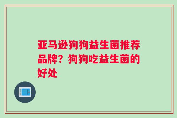 亚马逊狗狗益生菌推荐品牌？狗狗吃益生菌的好处