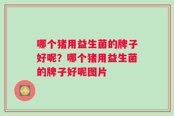 哪个猪用益生菌的牌子好呢？哪个猪用益生菌的牌子好呢图片
