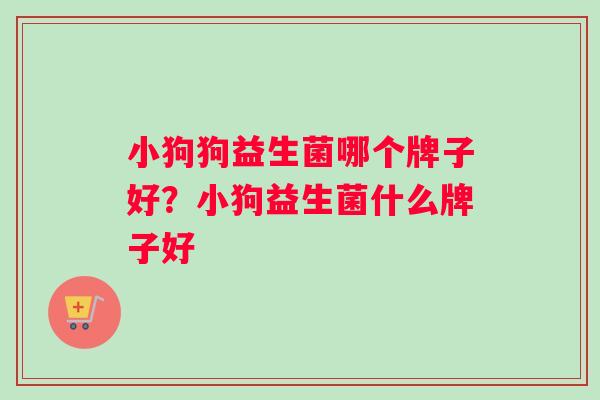 小狗狗益生菌哪个牌子好？小狗益生菌什么牌子好