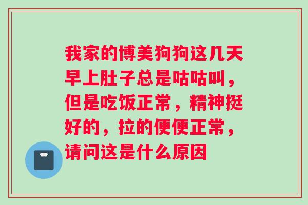 我家的博美狗狗这几天早上肚子总是咕咕叫，但是吃饭正常，精神挺好的，拉的便便正常，请问这是什么原因