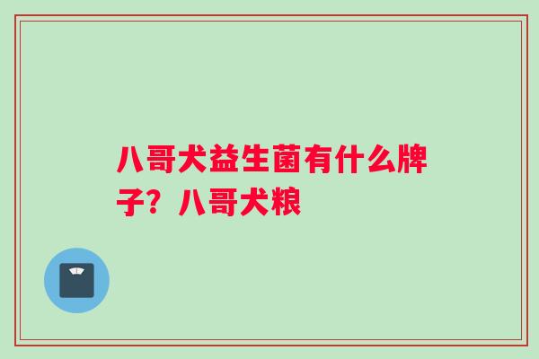 八哥犬益生菌有什么牌子？八哥犬粮