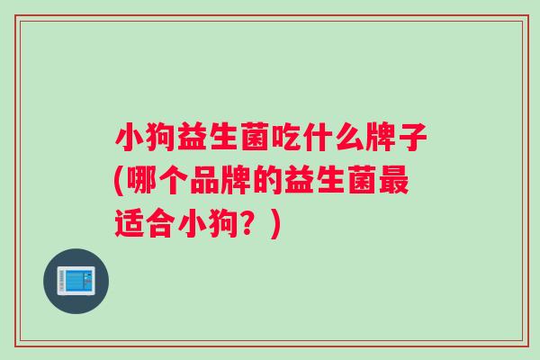 小狗益生菌吃什么牌子(哪个品牌的益生菌最适合小狗？)