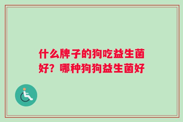 什么牌子的狗吃益生菌好？哪种狗狗益生菌好