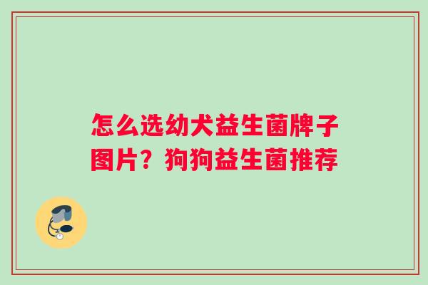 怎么选幼犬益生菌牌子图片？狗狗益生菌推荐