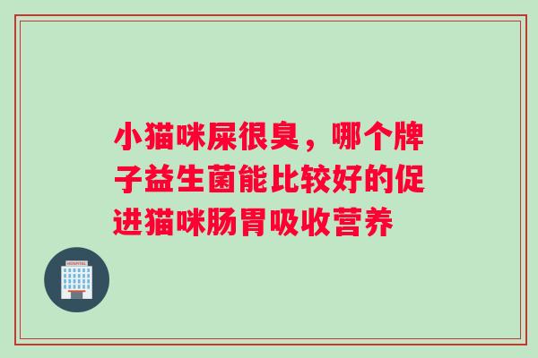 小猫咪屎很臭，哪个牌子益生菌能比较好的促进猫咪肠胃吸收营养