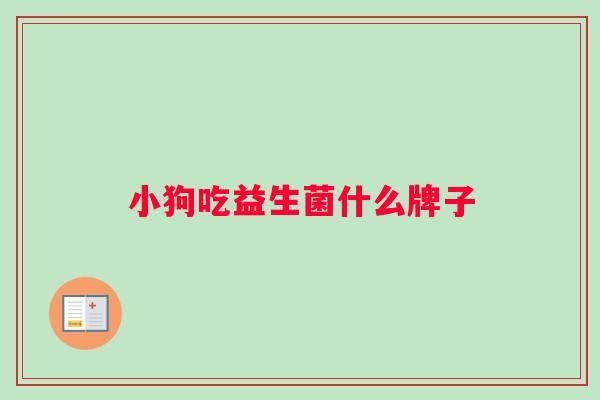 小狗吃益生菌什么牌子