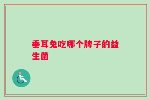 垂耳兔吃哪个牌子的益生菌