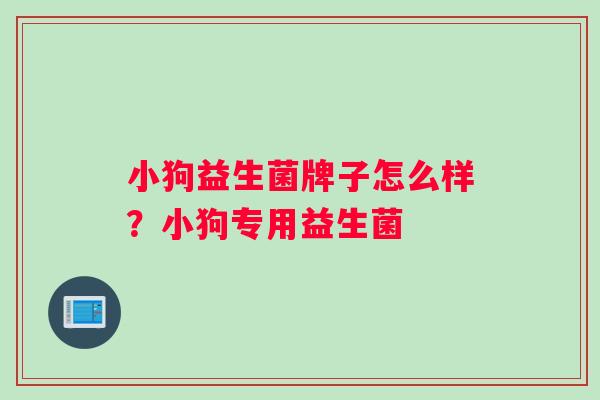 小狗益生菌牌子怎么样？小狗专用益生菌