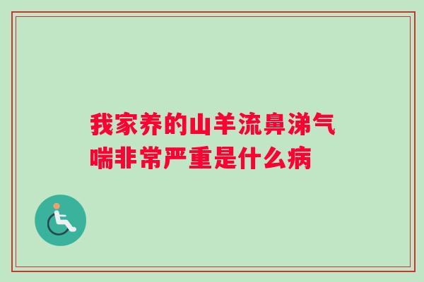 我家养的山羊流鼻涕气喘非常严重是什么病