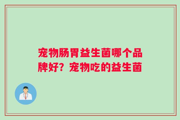 宠物肠胃益生菌哪个品牌好？宠物吃的益生菌