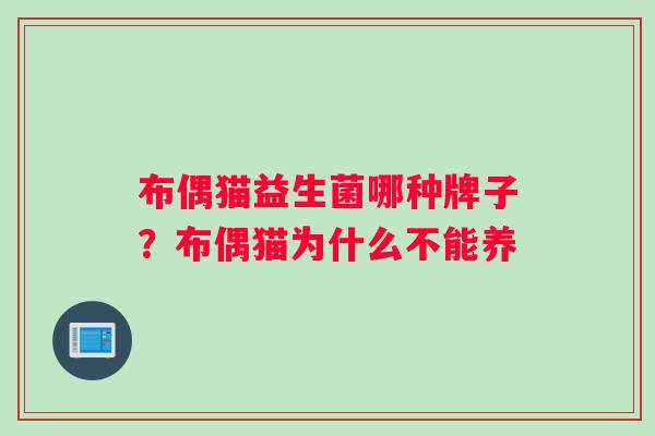 布偶猫益生菌哪种牌子？布偶猫为什么不能养