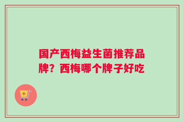 国产西梅益生菌推荐品牌？西梅哪个牌子好吃