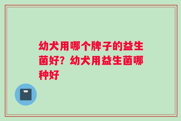 幼犬用哪个牌子的益生菌好？幼犬用益生菌哪种好