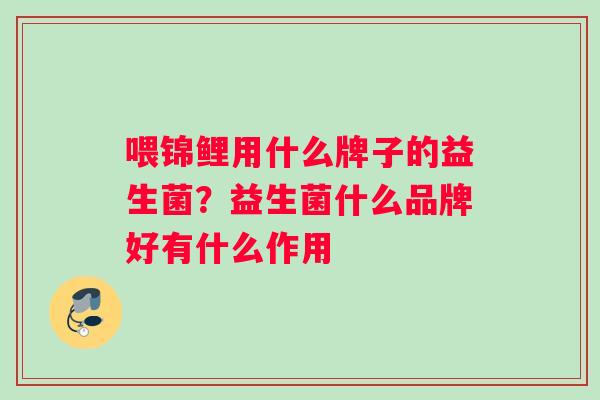 喂锦鲤用什么牌子的益生菌？益生菌什么品牌好有什么作用
